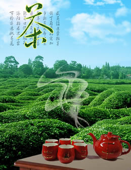 中國的十大名茶排行榜