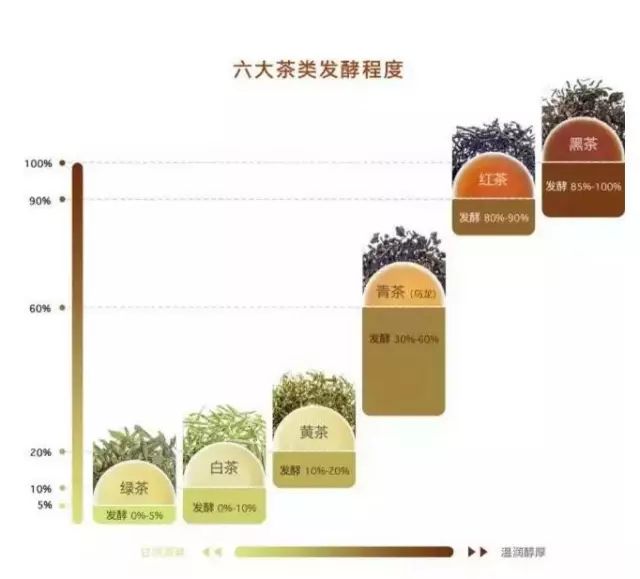 茶葉發酵的不同程度
