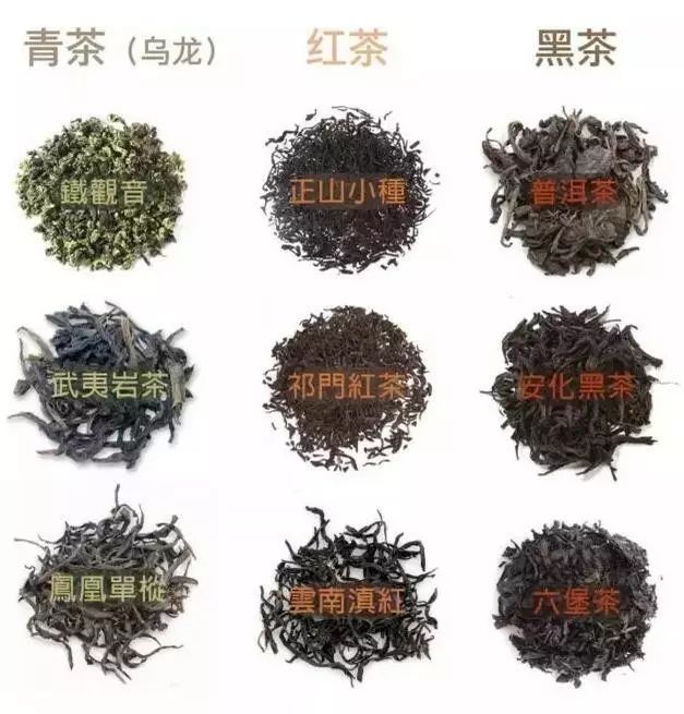 青茶紅茶黑茶品類